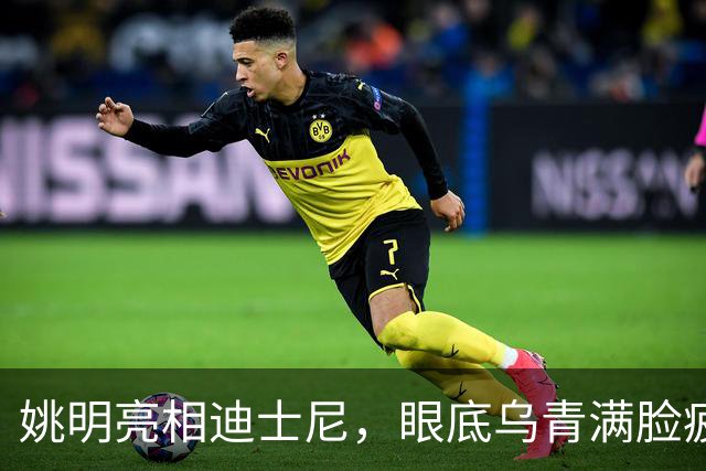 姚明亮相迪士尼，眼底乌青满脸疲惫，一身伤病走路一瘸一拐太沧桑