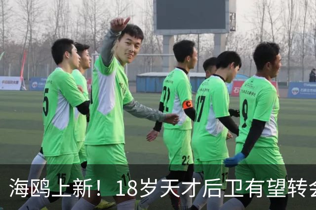 海鸥上新！18岁天才后卫有望转会英格兰，天赋顶级布莱顿要买